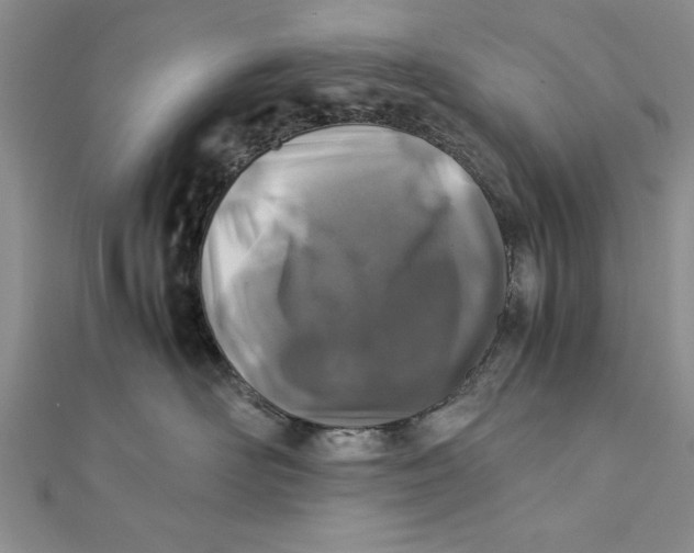 X0000112170526200908281342