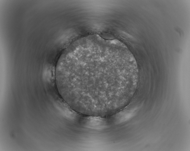 X0000112170528200908281342