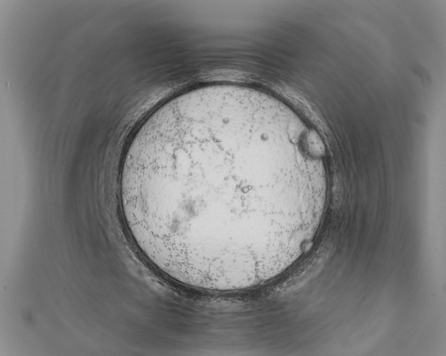 X0000112170529200908281341