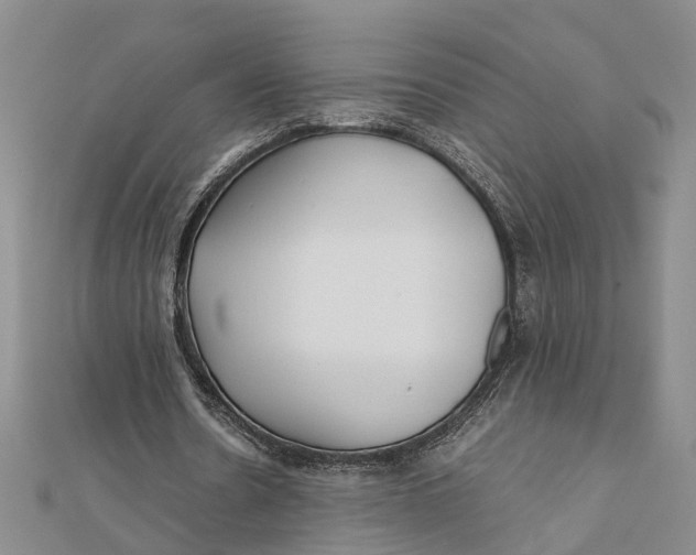 X0000112170530200908281341