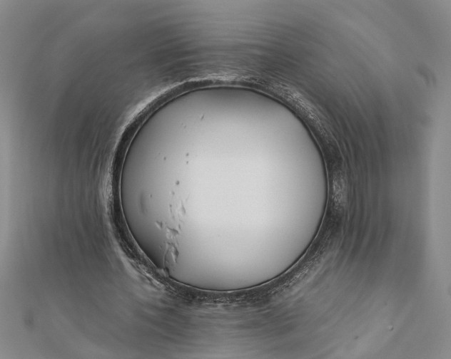 X0000112170532200908281341