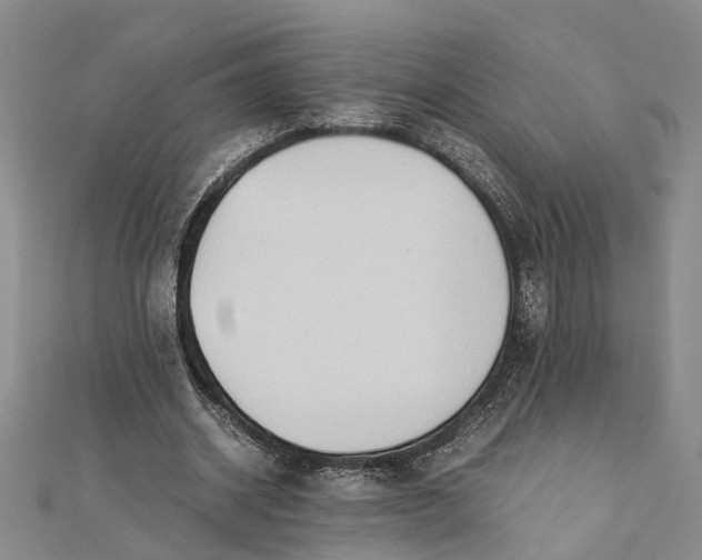 X0000112170534200908281341