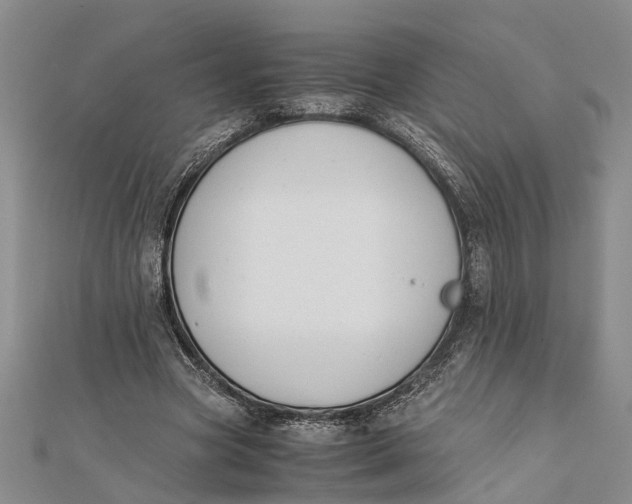 X0000112170537200908281341