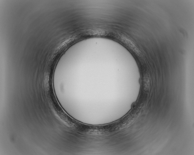 X0000112170538200908281341