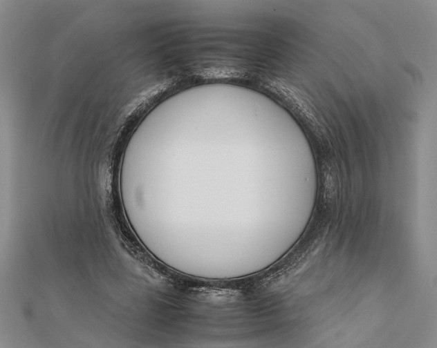 X0000112170539200908281341