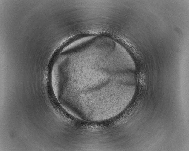 X0000112170540200908281341