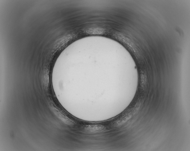 X0000112170541200908281341