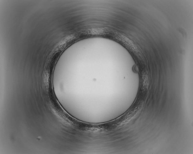 X0000112170542200908281341