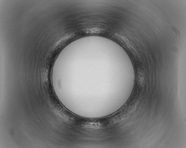 X0000112170543200908281341