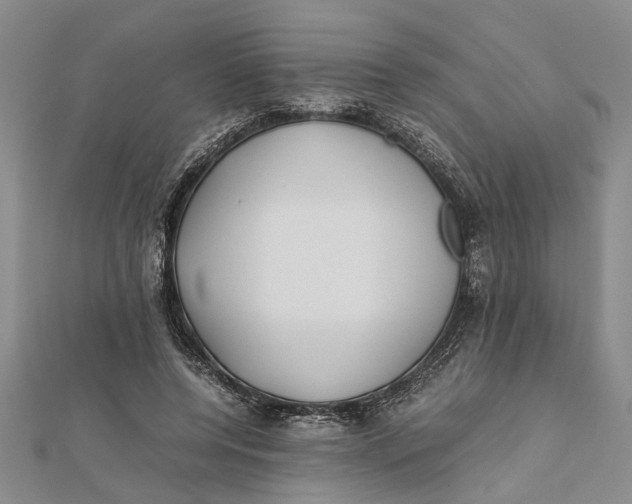 X0000112170544200908281341