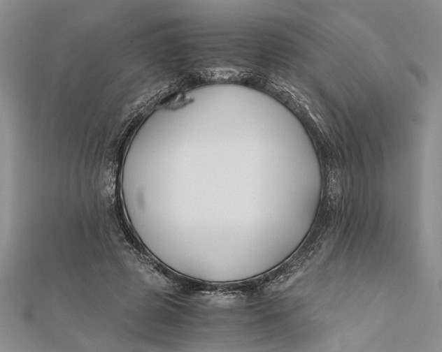 X0000112170545200908281341