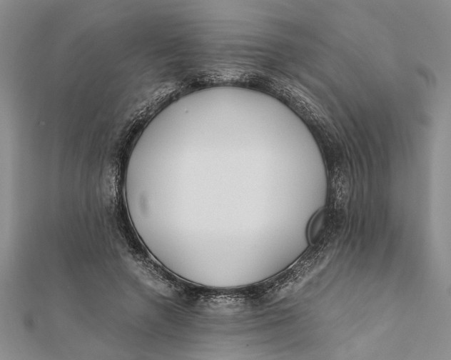 X0000112170546200908281341