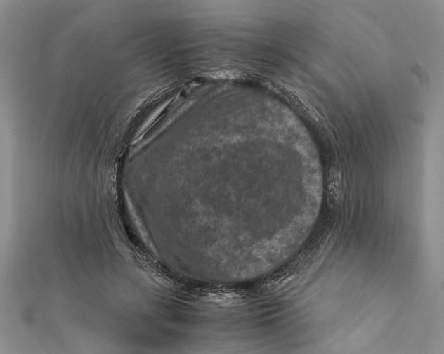 X0000112170547200908281341