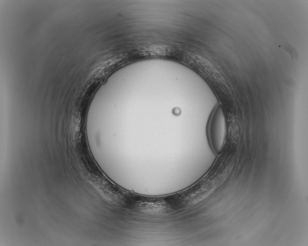 X0000112170548200908281341