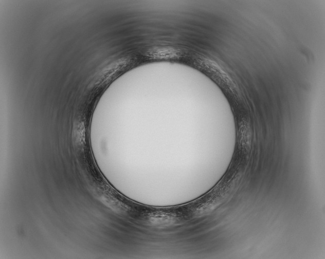 X0000112170549200908281341