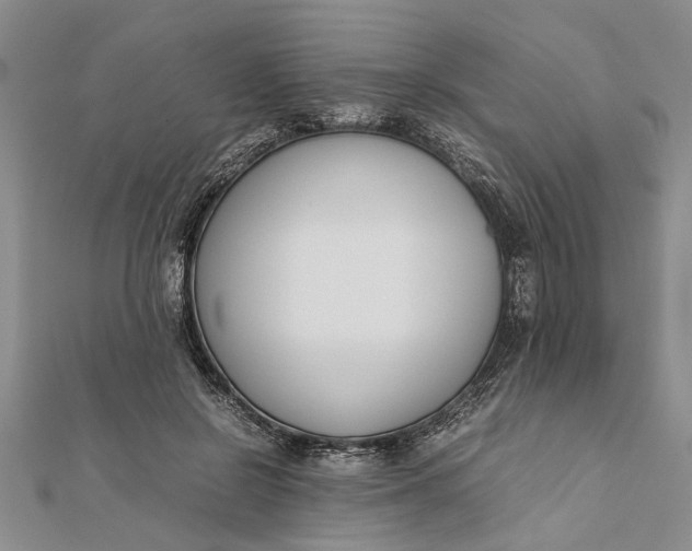 X0000112170550200908281342