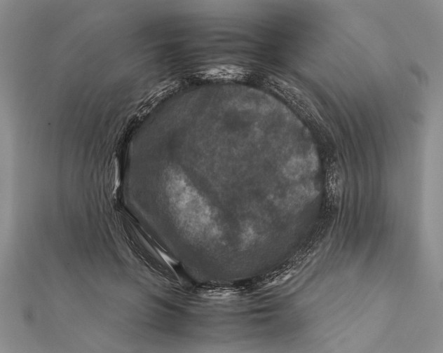 X0000112170551200908281342