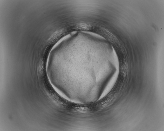 X0000112170552200908281342