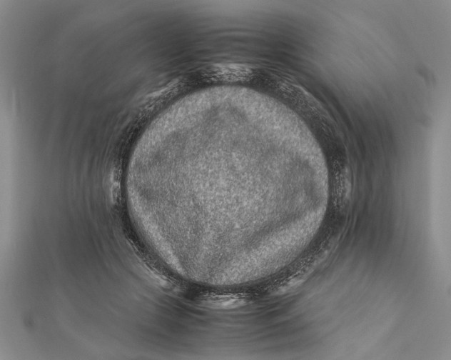 X0000112170553200908281342