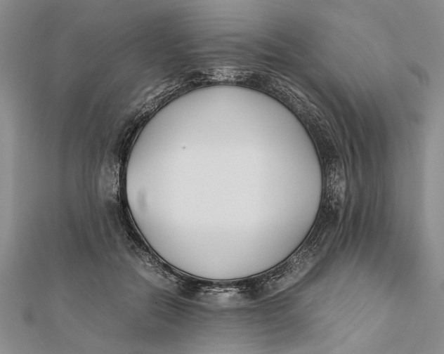 X0000112170554200908281342