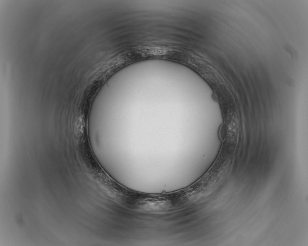 X0000112170555200908281342