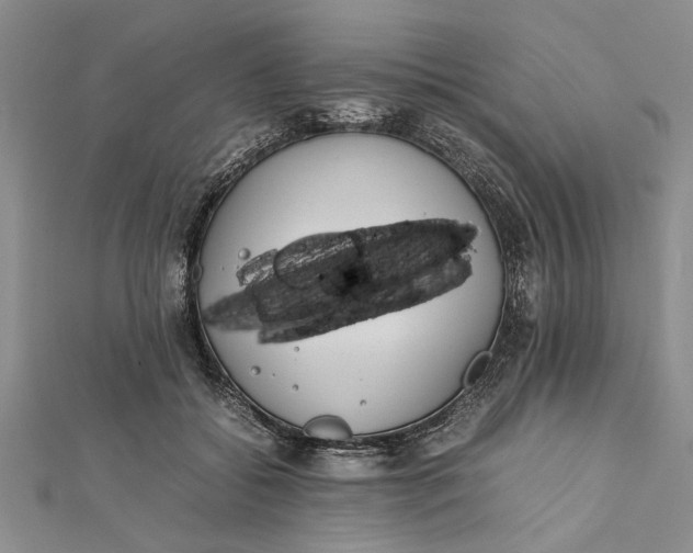 X0000112170556200908281342