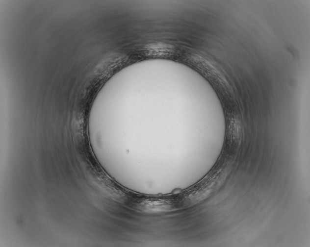 X0000112170557200908281342