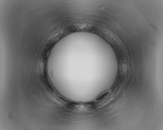 X0000112170558200908281342