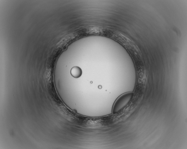 X0000112170560200908281342