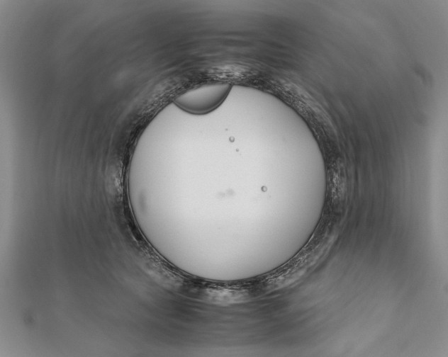 X0000112170561200908281342