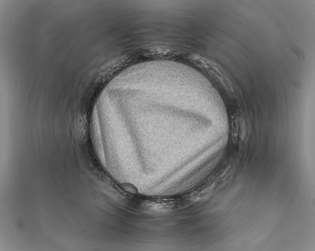 X0000112170563200908281342