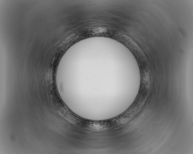 X0000112170565200908281342