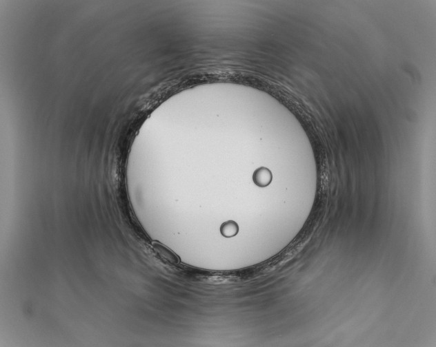 X0000112170566200908281342