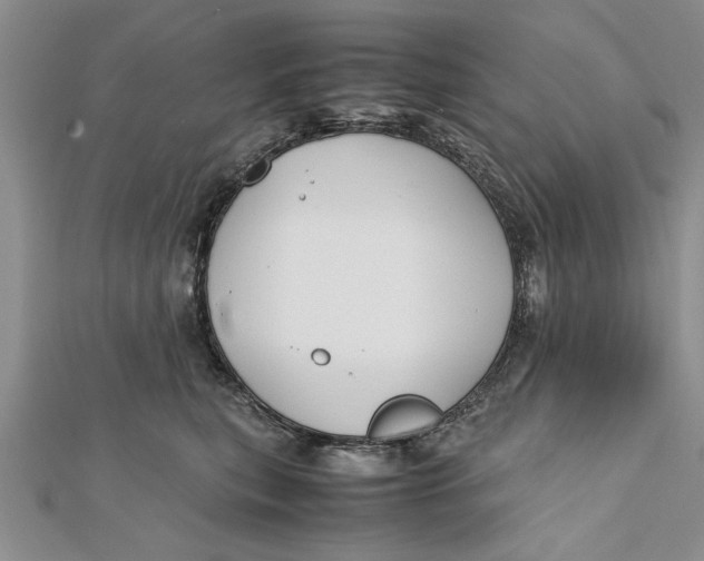 X0000112170567200908281342