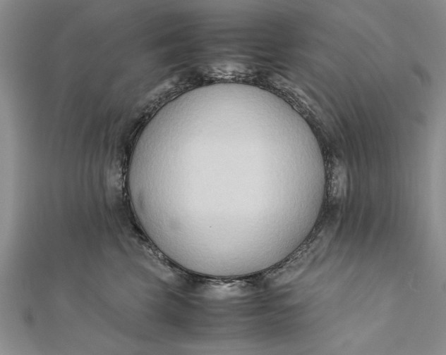 X0000112170569200908281342