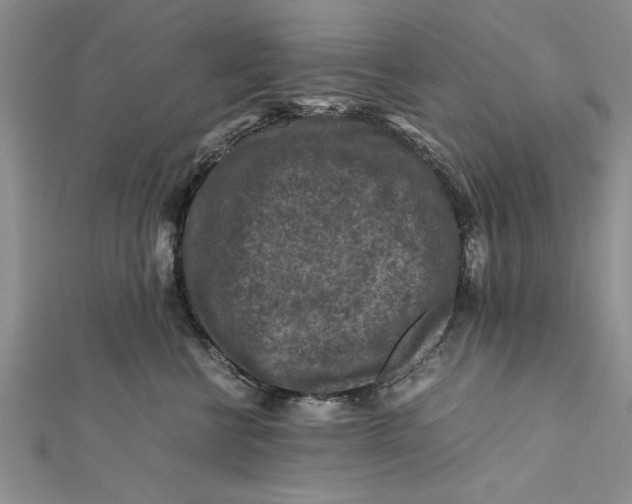 X0000112170570200908281342