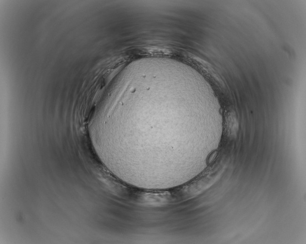 X0000112170571200908281342