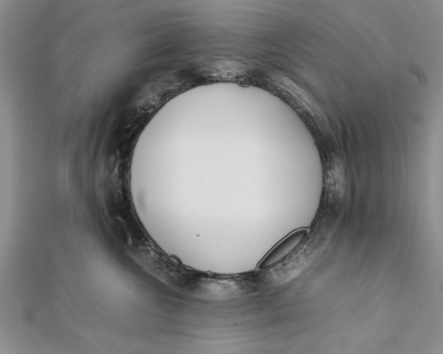 X0000112170572200908281342