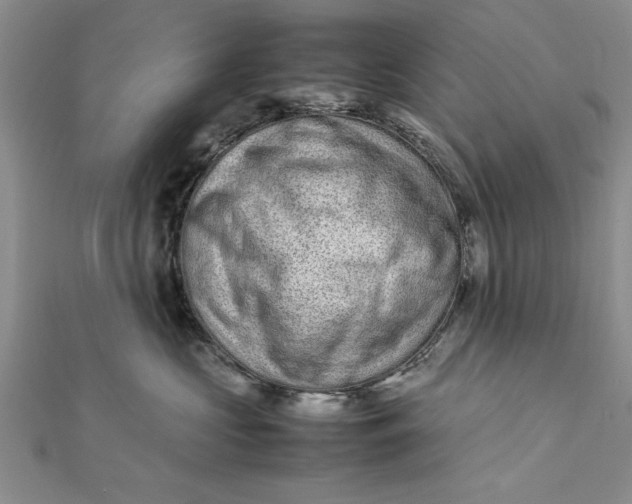 X0000112170573200908281342