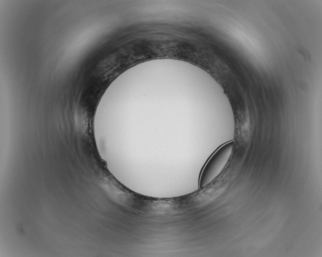 X0000112170574200908281342