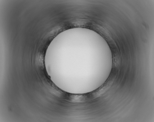 X0000112170575200908281342