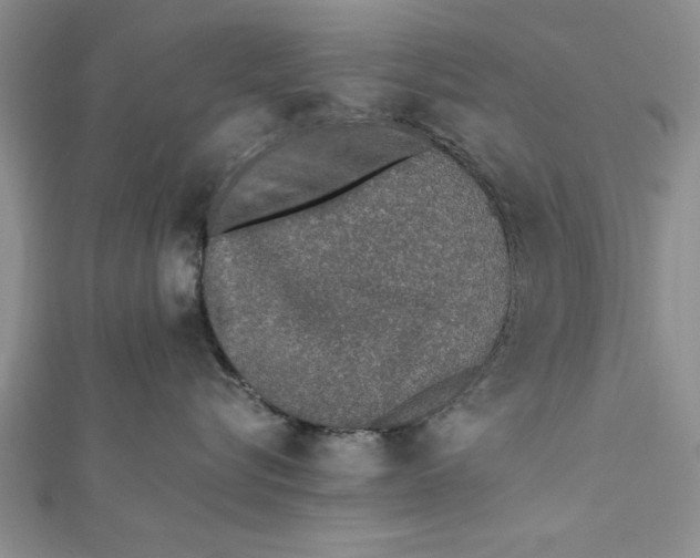 X0000112170576200908281342