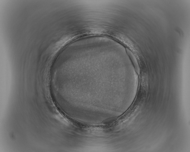 X0000112170577200908281341