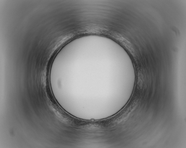 X0000112170578200908281341