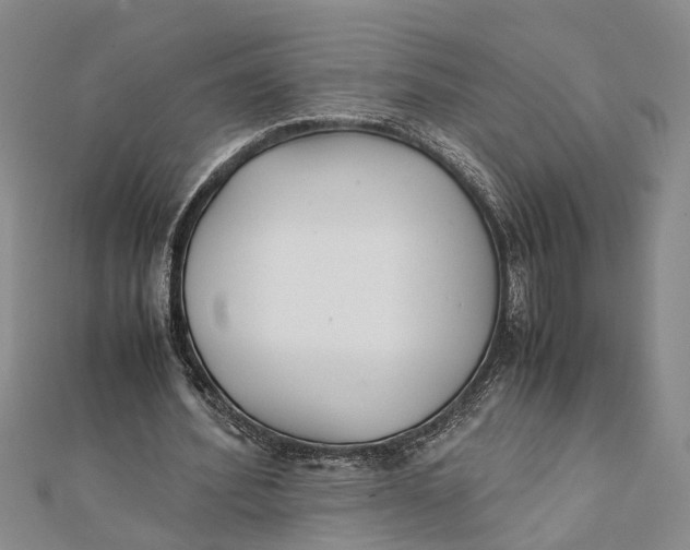 X0000112170580200908281341