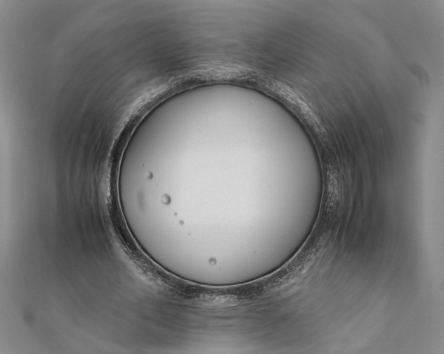 X0000112170582200908281341