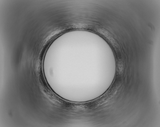 X0000112170583200908281341