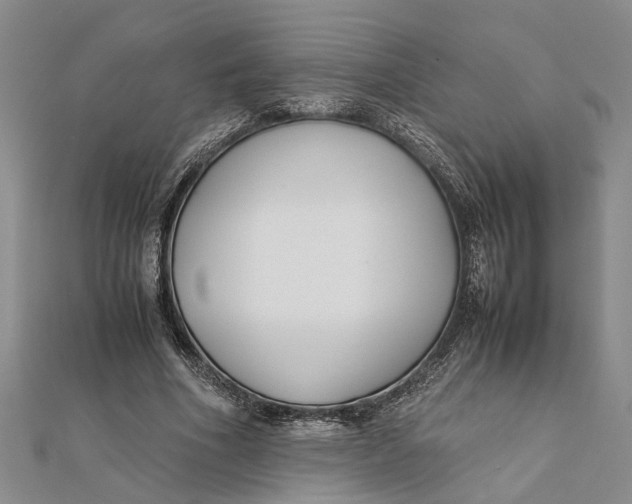 X0000112170586200908281341