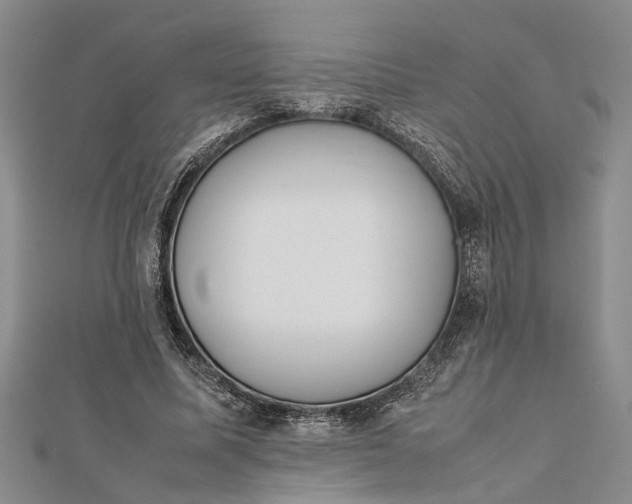 X0000112170587200908281341