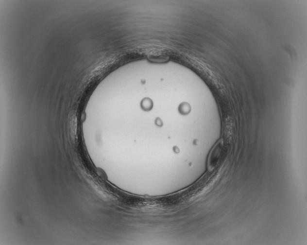 X0000112170589200908281341